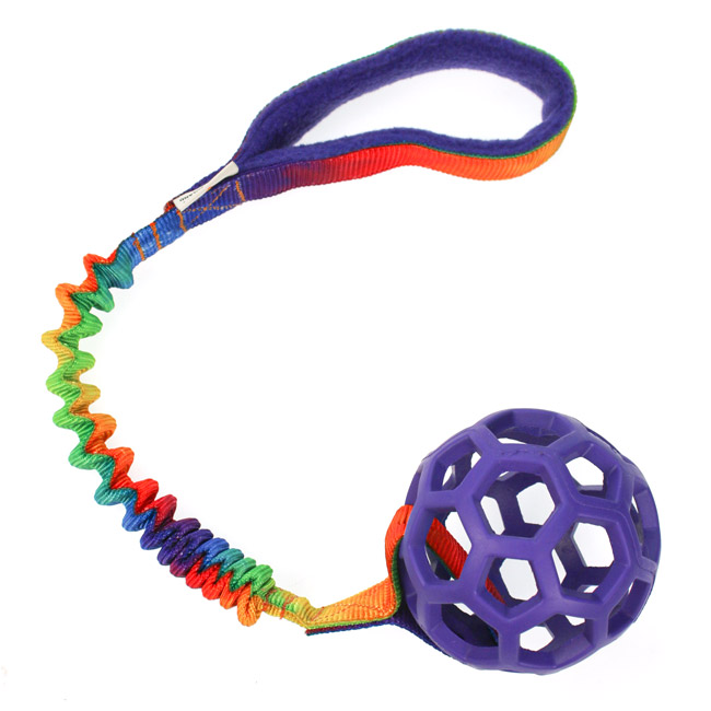 Hol-EE BASIC DCW S