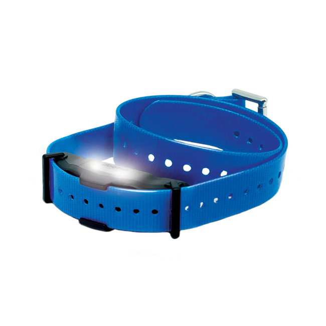 Zusatzhalsbandempfänger Dogtra ARC-X blau