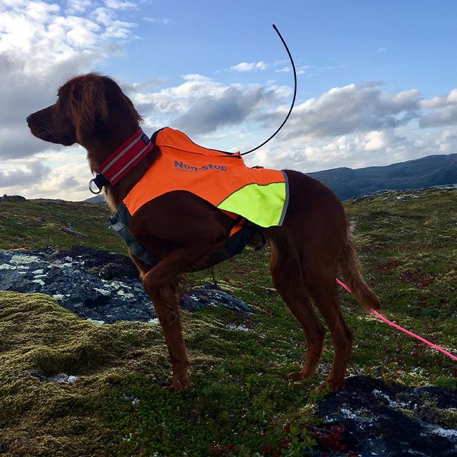 Non-Stop dogwear Protecor Vest GPS