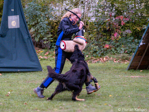 Helferprufung-Iro-ex-canis-lupus Helferprufung-Iro-ex-canis-lupus