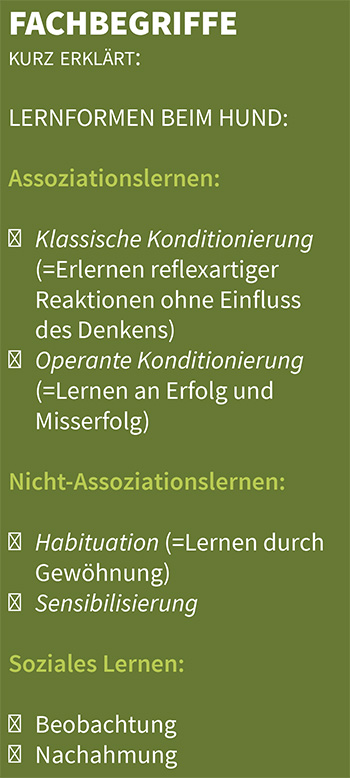 Lernformen beim Hund