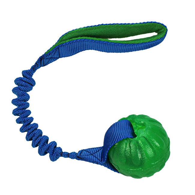 Treat Dispensing Chew Ball M mit Bungee-Seil