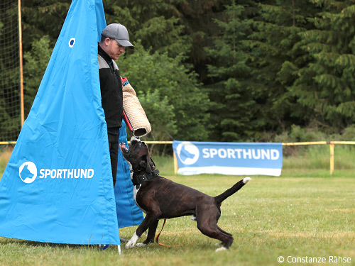 Stellen und Verbellen