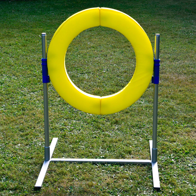 Profi Agility Sprung Ring