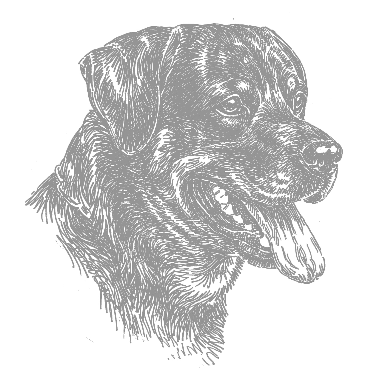 Aufkleber 15 cm Rottweiler