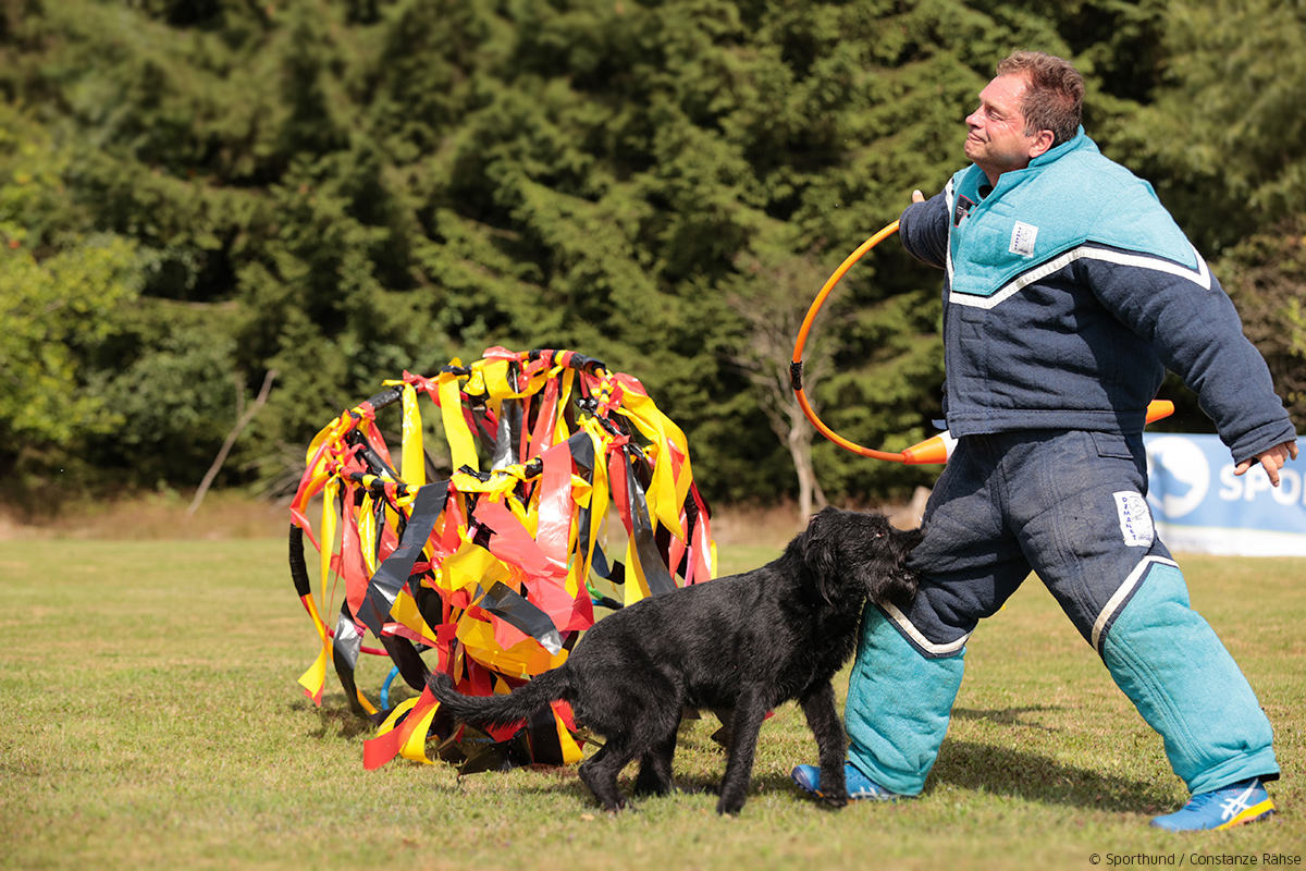 Mondioring Hund Helfer