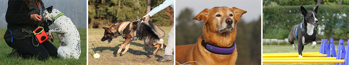 Niggeloh Produktvielfalt