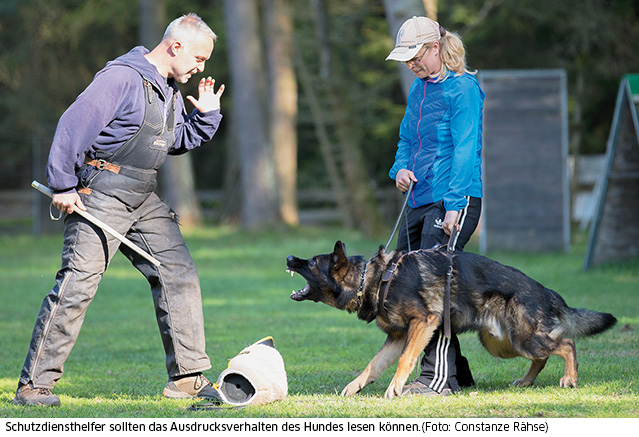 Helfertreiben im Schutzdienst