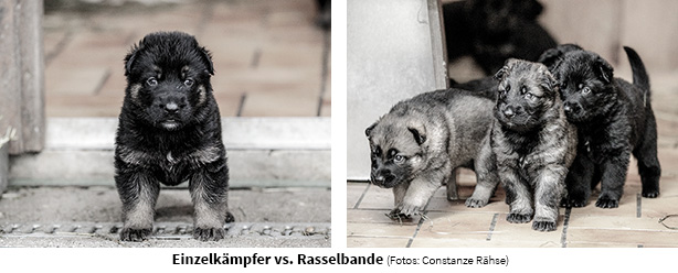 Einzelkind vs Geschwisterkind