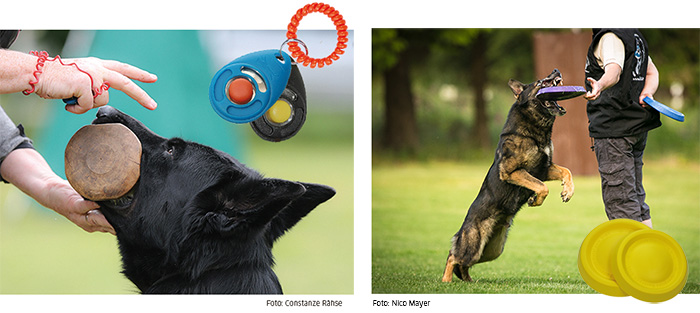 Fatastic DuraFoam Ball & Clicker