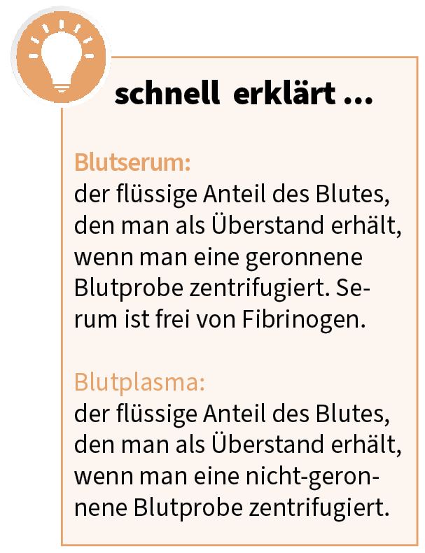 schnell-erklaert