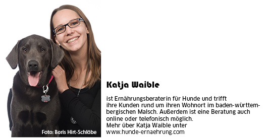 Katja Waible