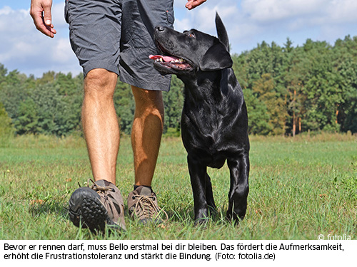 Erst Fussgehen dann rennen