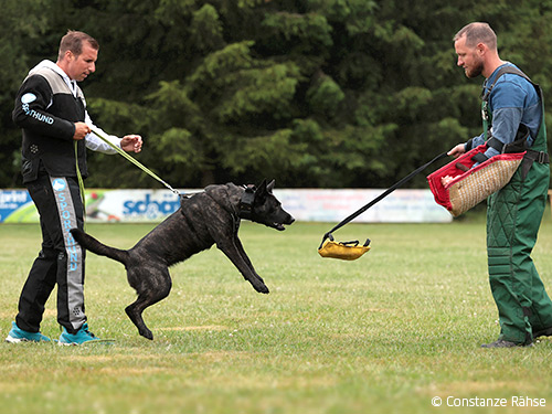 Beutearbeit mit Herder