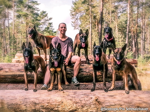 Mehrhundehaltung liegt im Trend