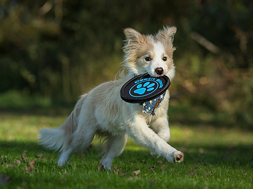 Beitragshauptbild Beitragshauptbild