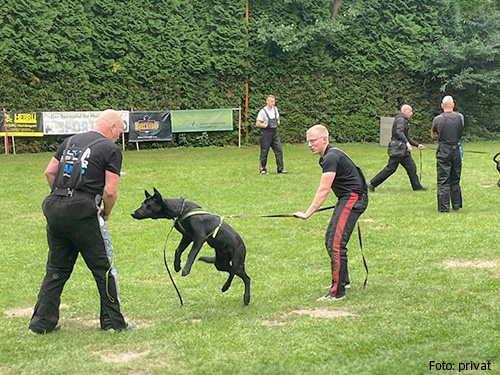 Billmann_Helfercamp Billmann_Helfercamp