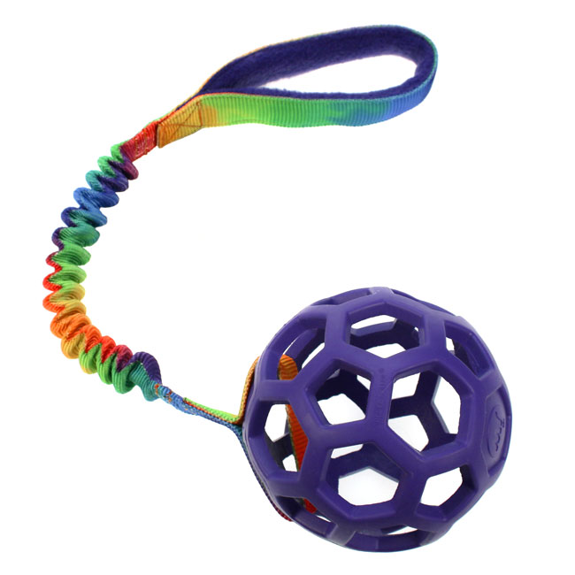 Hol-EE BASIC DCW M