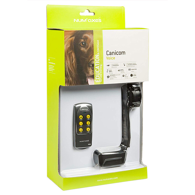Ferntrainer ohne Strom Ferntrainer ohne Strom