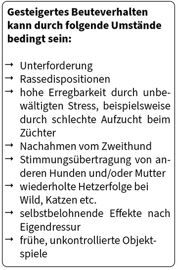 Ursachen für gesteigerte Beuteverhalten