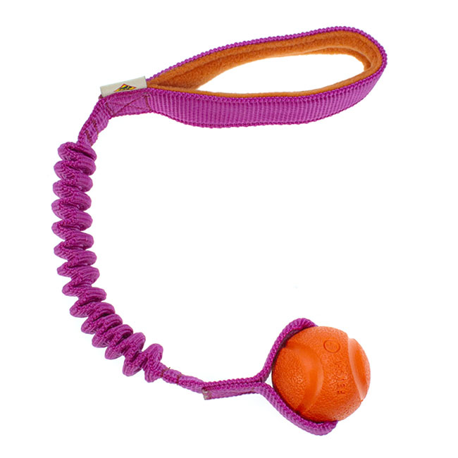Fetch BASIC S