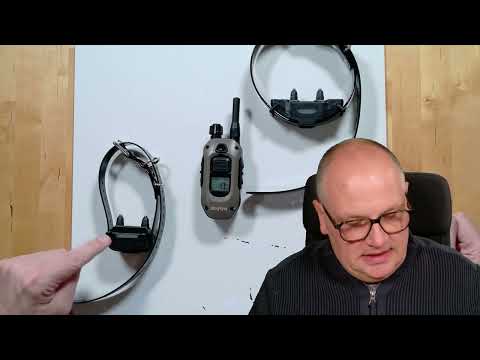 Zusatzhalsbandempfänger Dogtra ARC-X blau