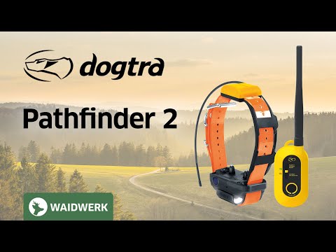 Dogtra Pathfinder 2