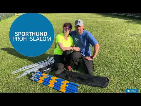 Profi Agility Slalom
