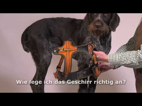 Niggeloh Geschirr Mantrailing Gr. L/XL
